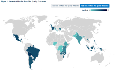 FHI 360’s Intake – Center for Dietary Assessment